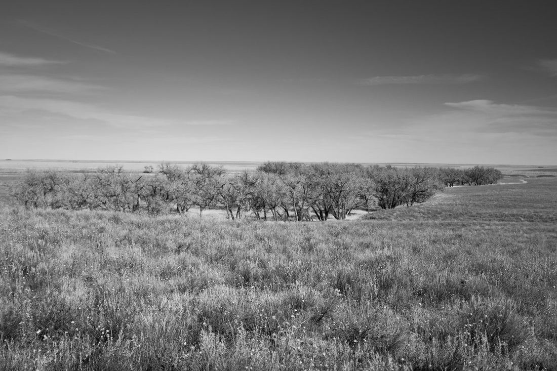 Interpreting grief, anguish and pain at Sand Creek
