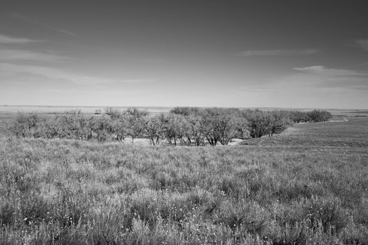 Interpreting grief, anguish and pain at Sand Creek