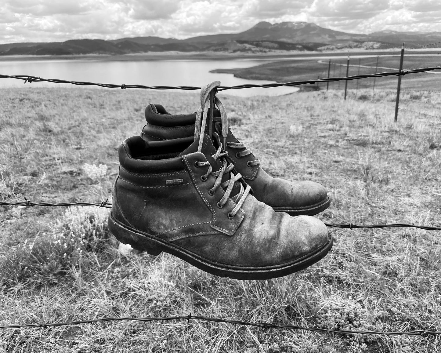 Lost and Found